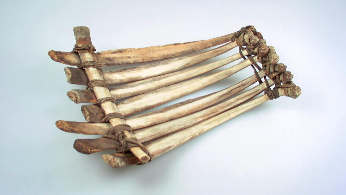 В прериях Северной Америки, по которым кочевали племена народа сиу, были свои сани из костей бизоном — хохуказунта 
