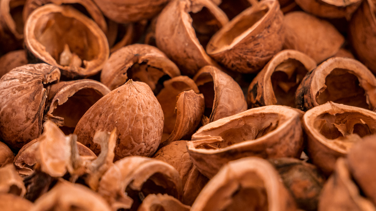 скорлупа грецких орехов