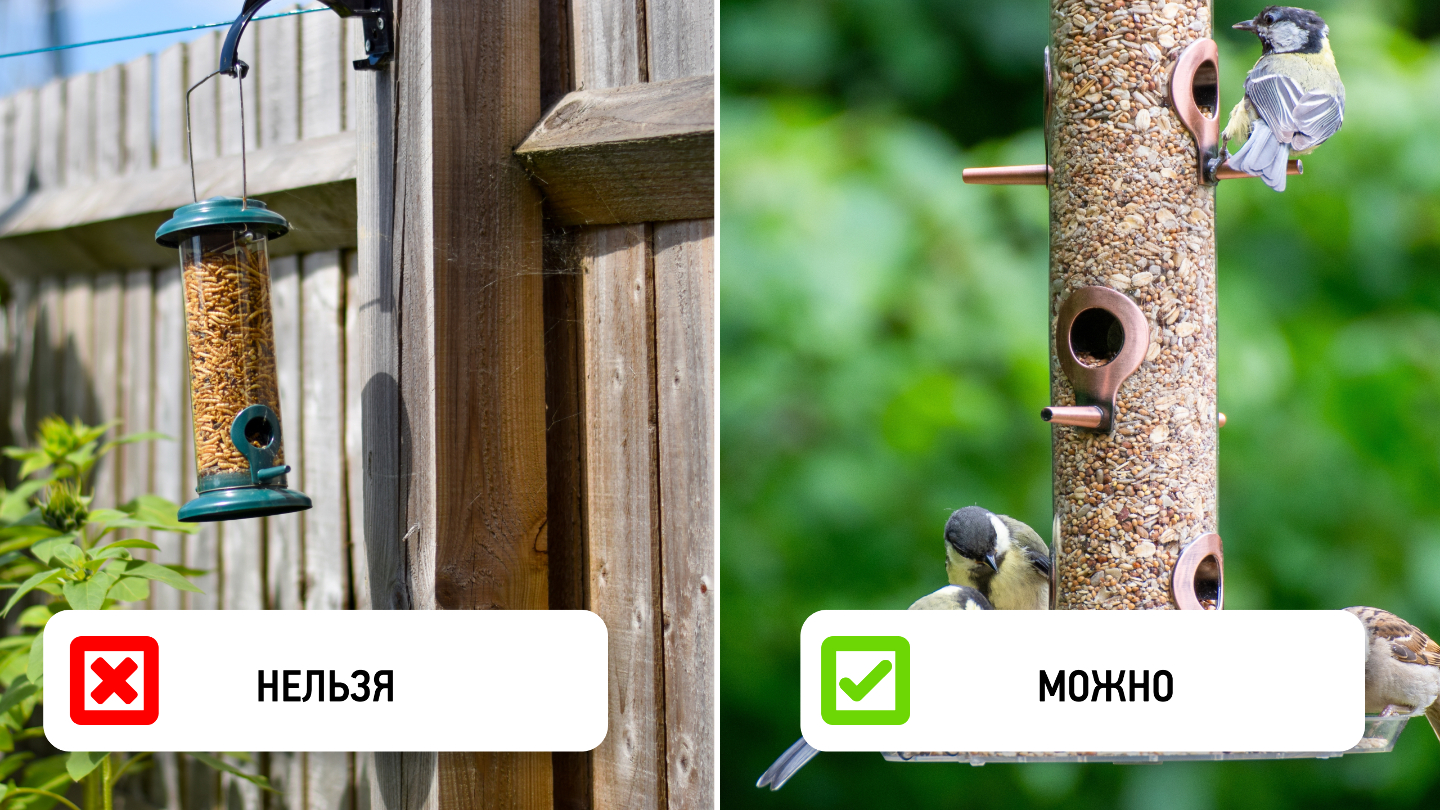 расположение