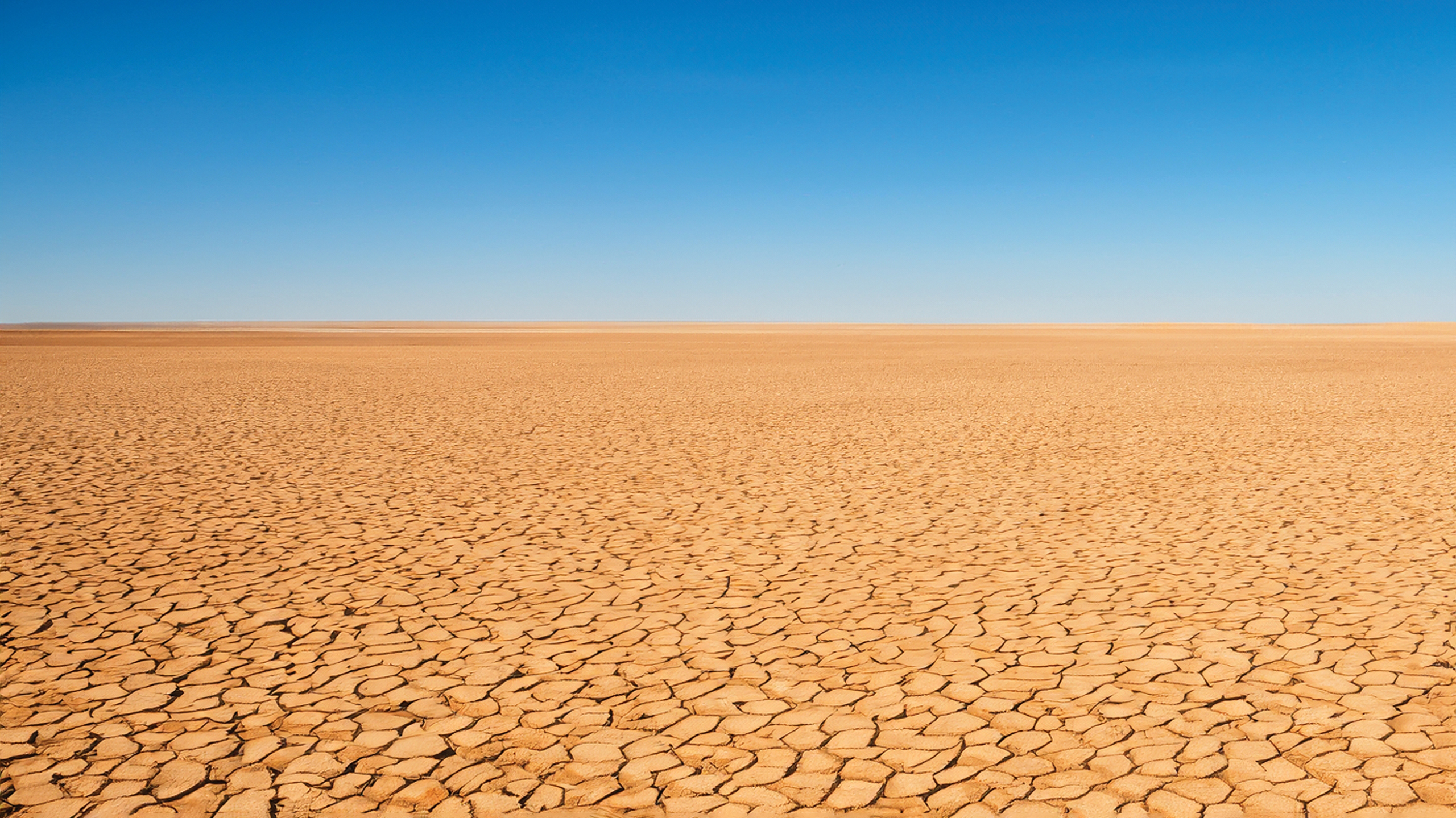 красное море