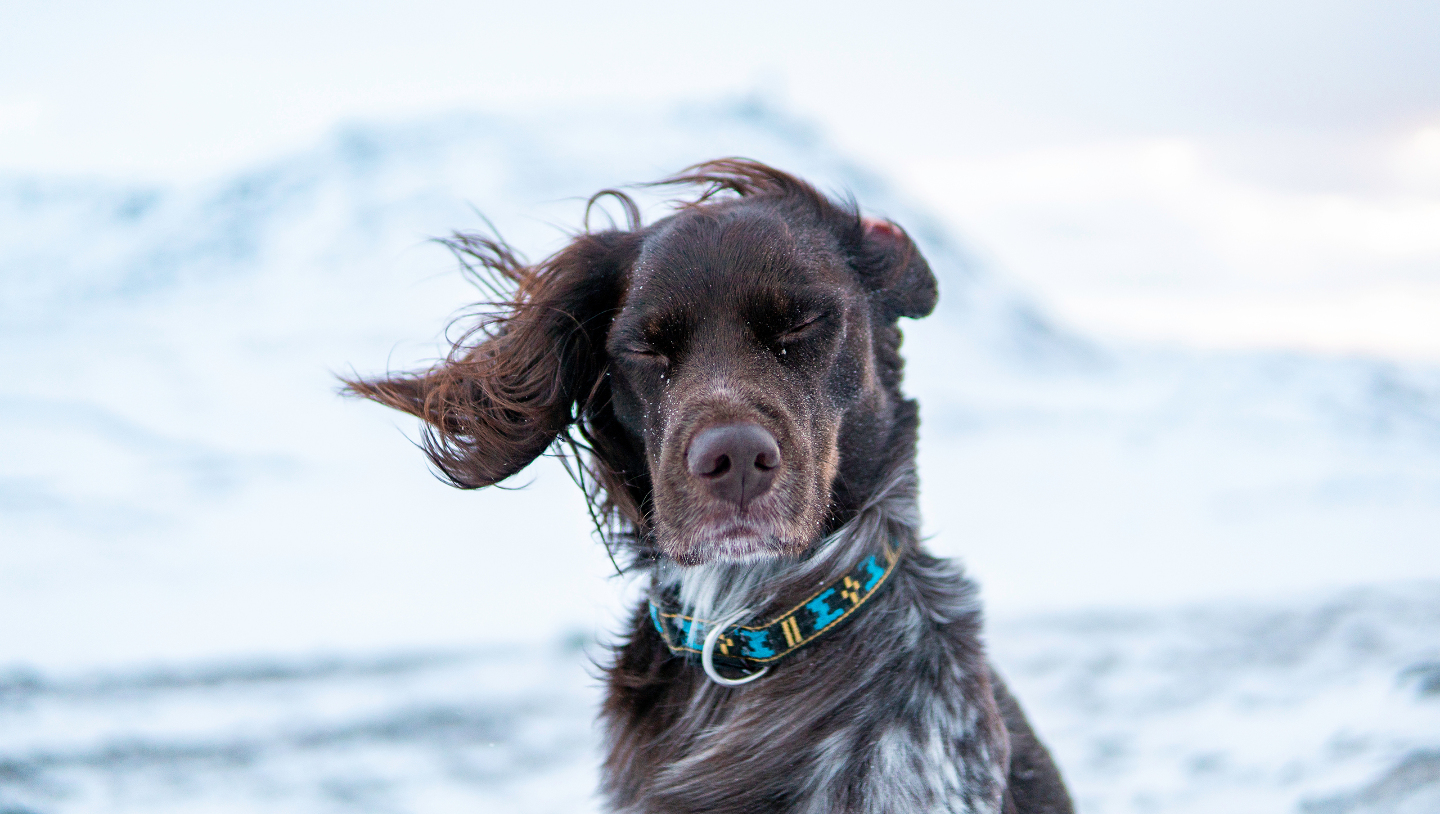 почему на одну и ту же температуру человек реагирует по-разному