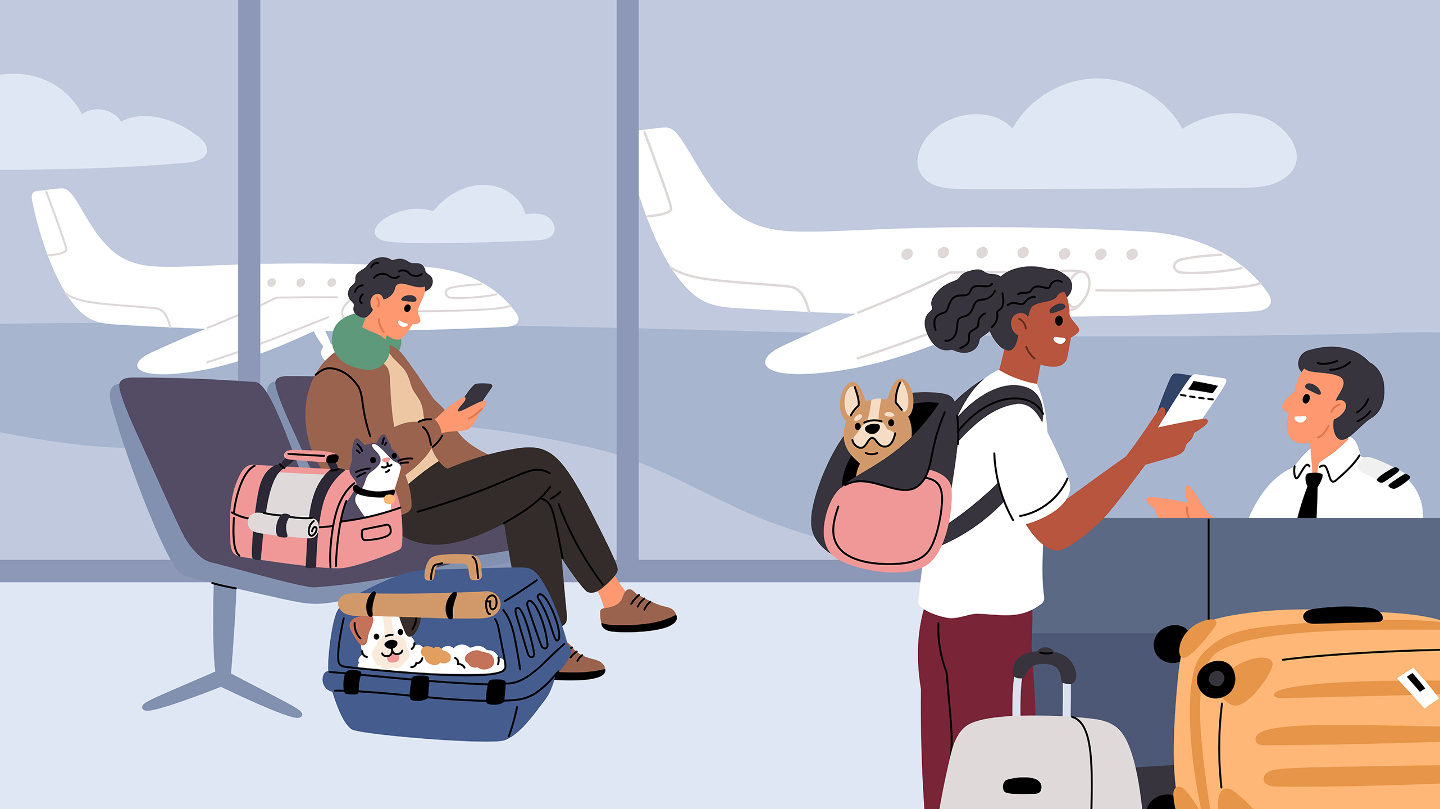 перевозка в самолете