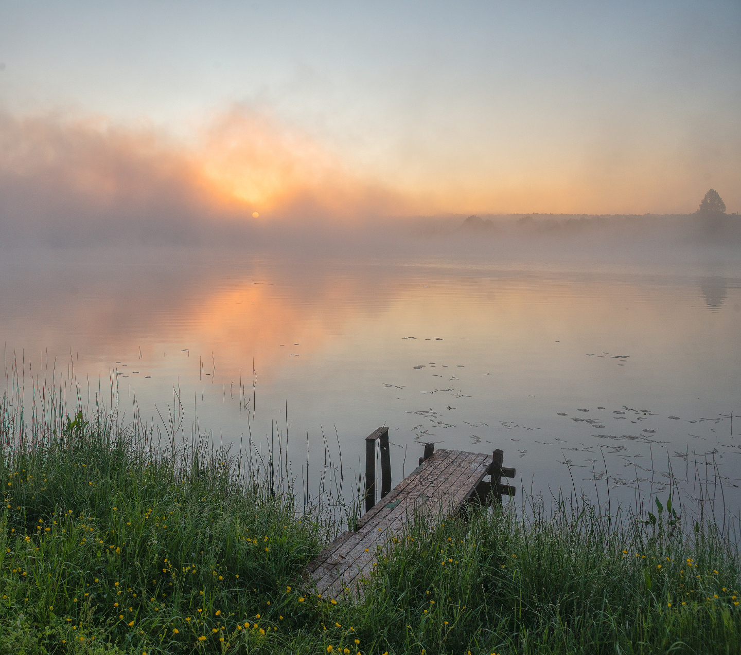 Природа летом рассвет