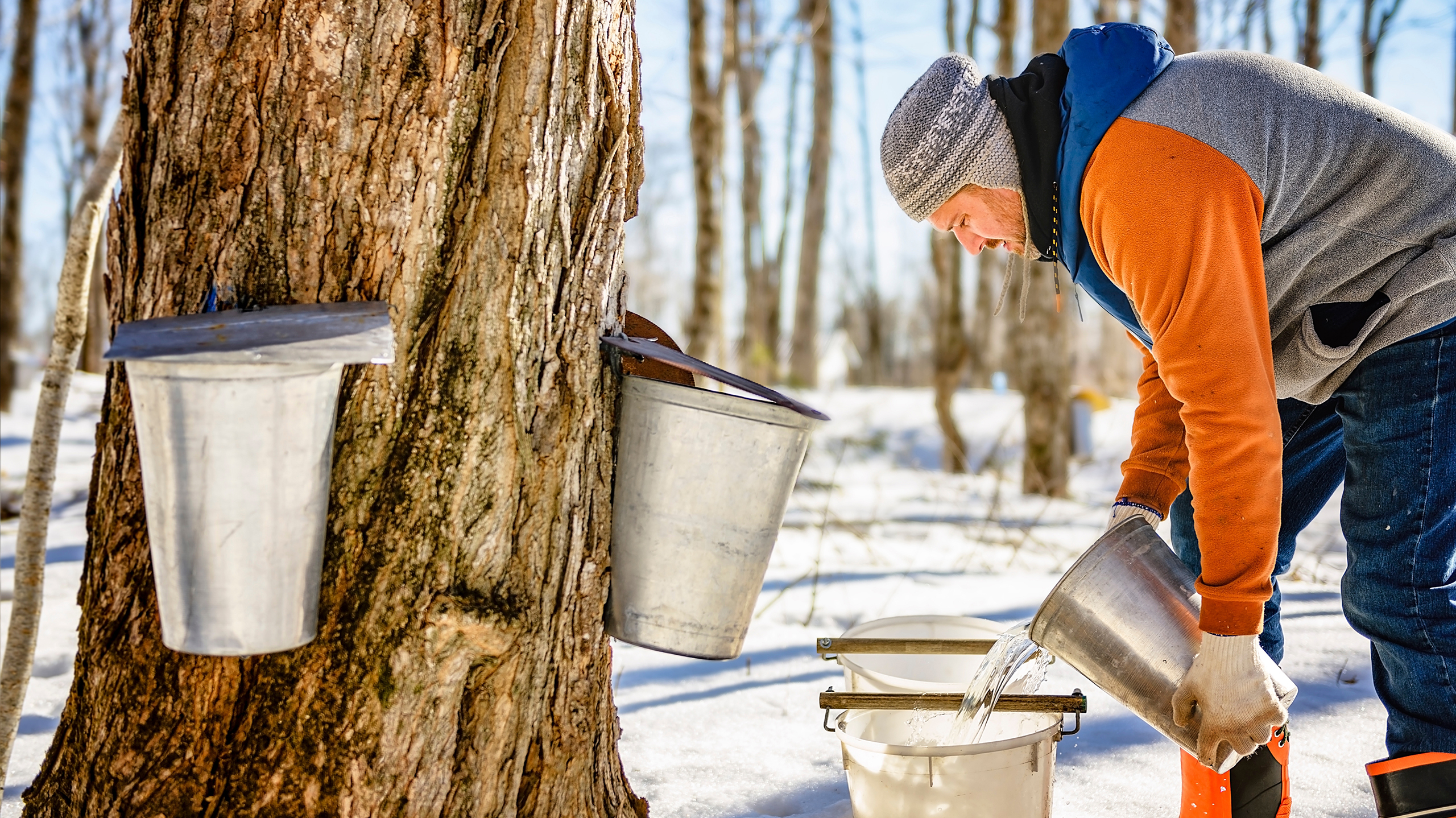 березовый сок