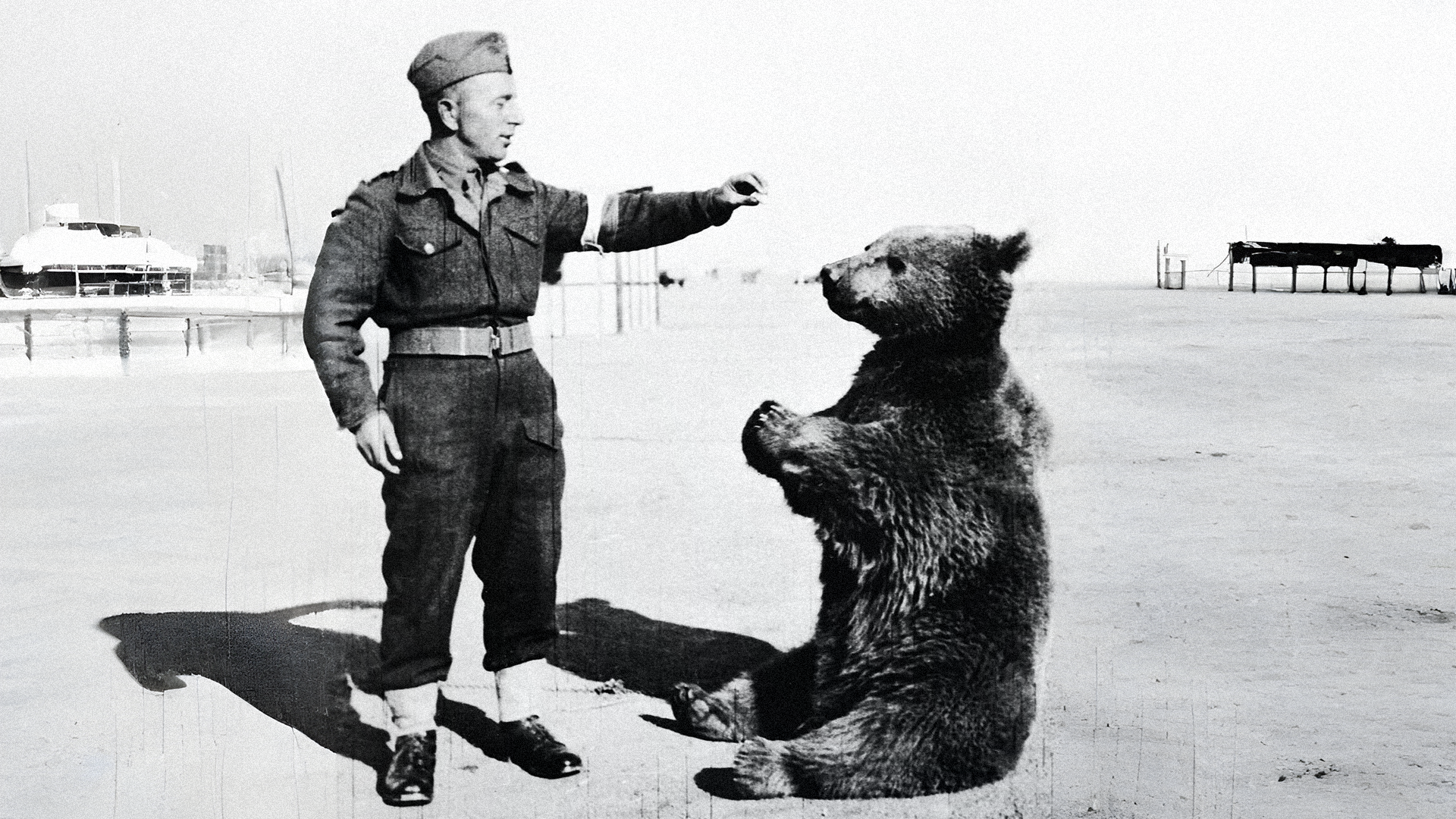 медвежонок Войтек