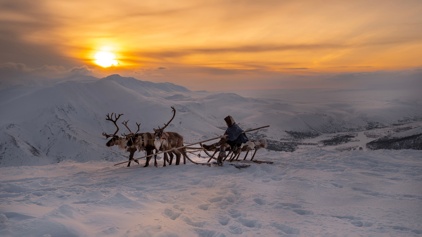 Северные народы