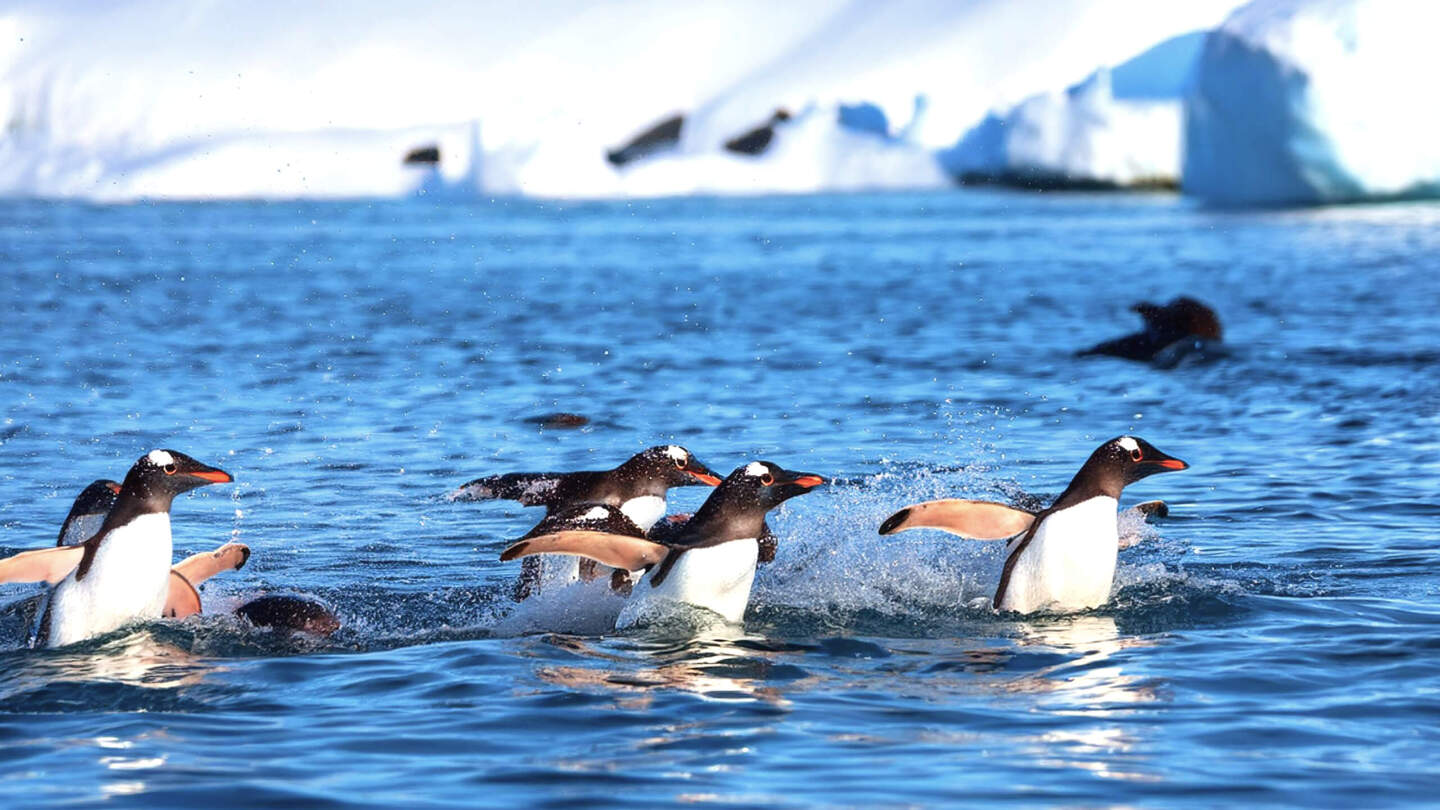 Habib CREATIVE/Shutterstock/FOTODOM