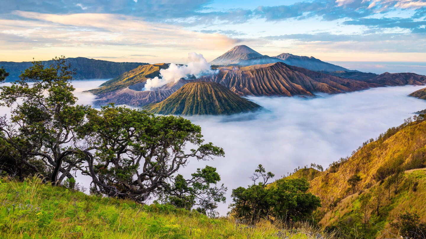 Где обитает малый оленек