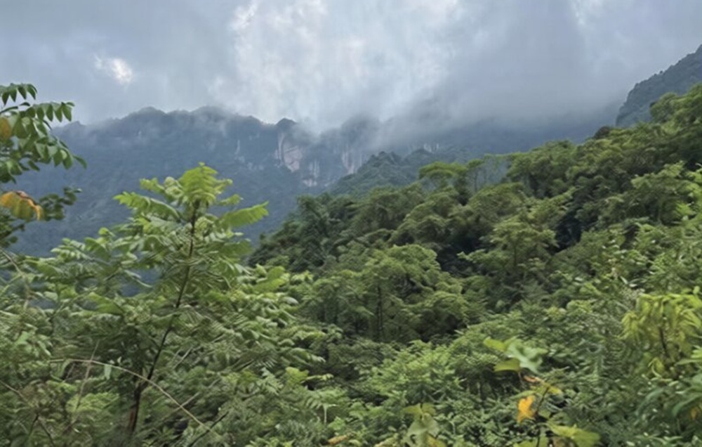 национальный парк