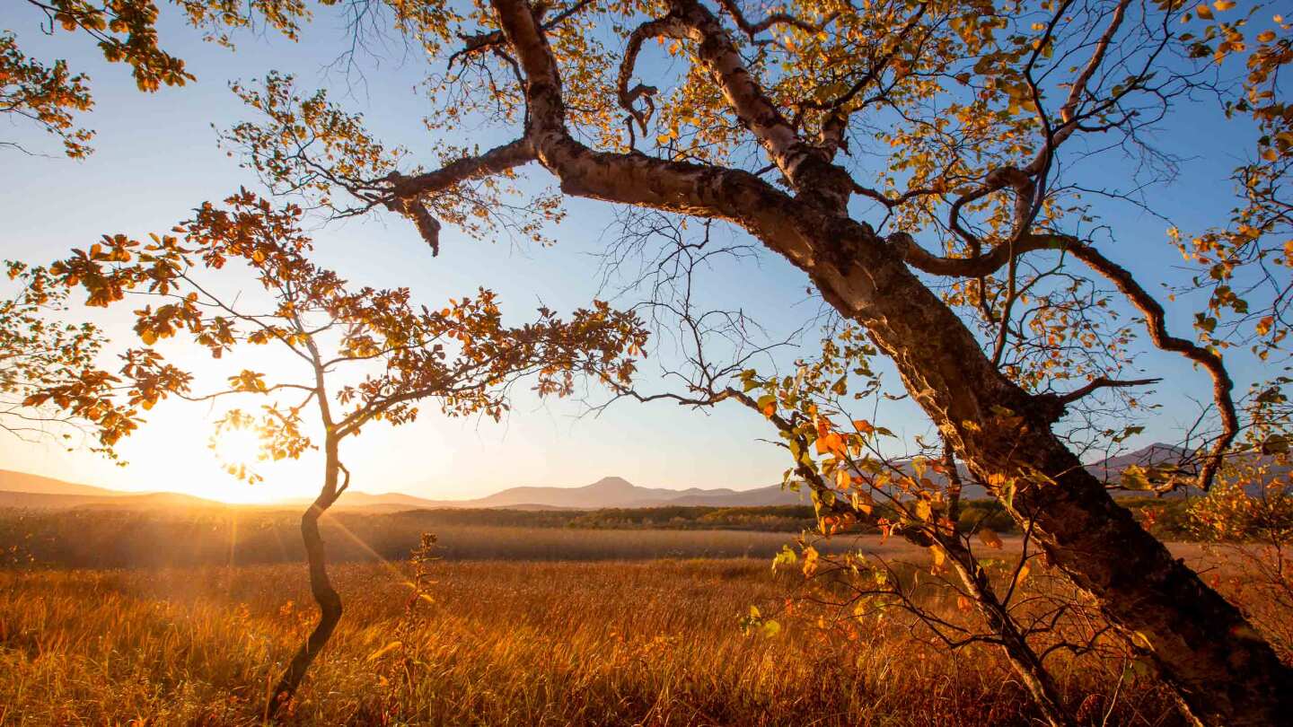 Центральный Сихотэ-Алинь