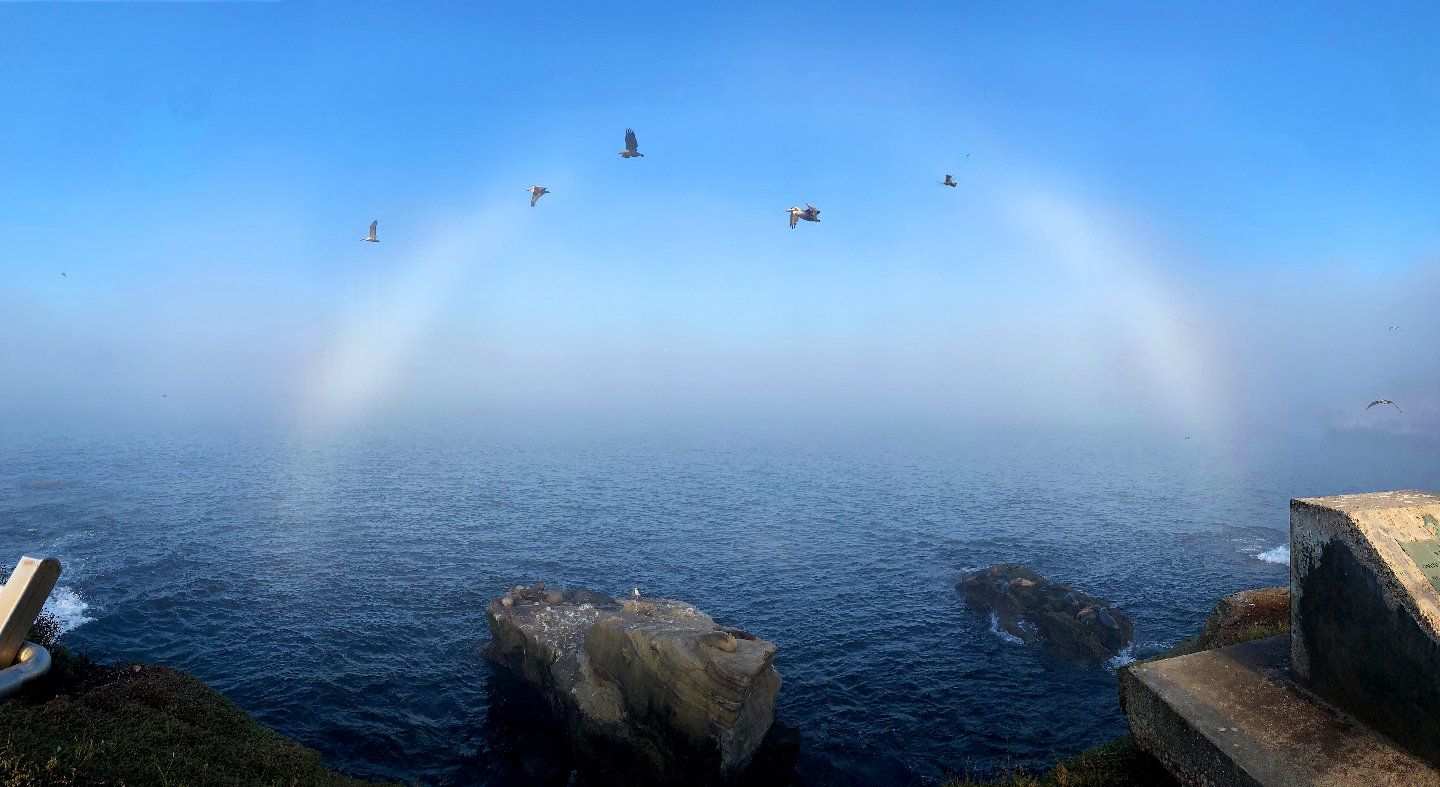 белая радуга