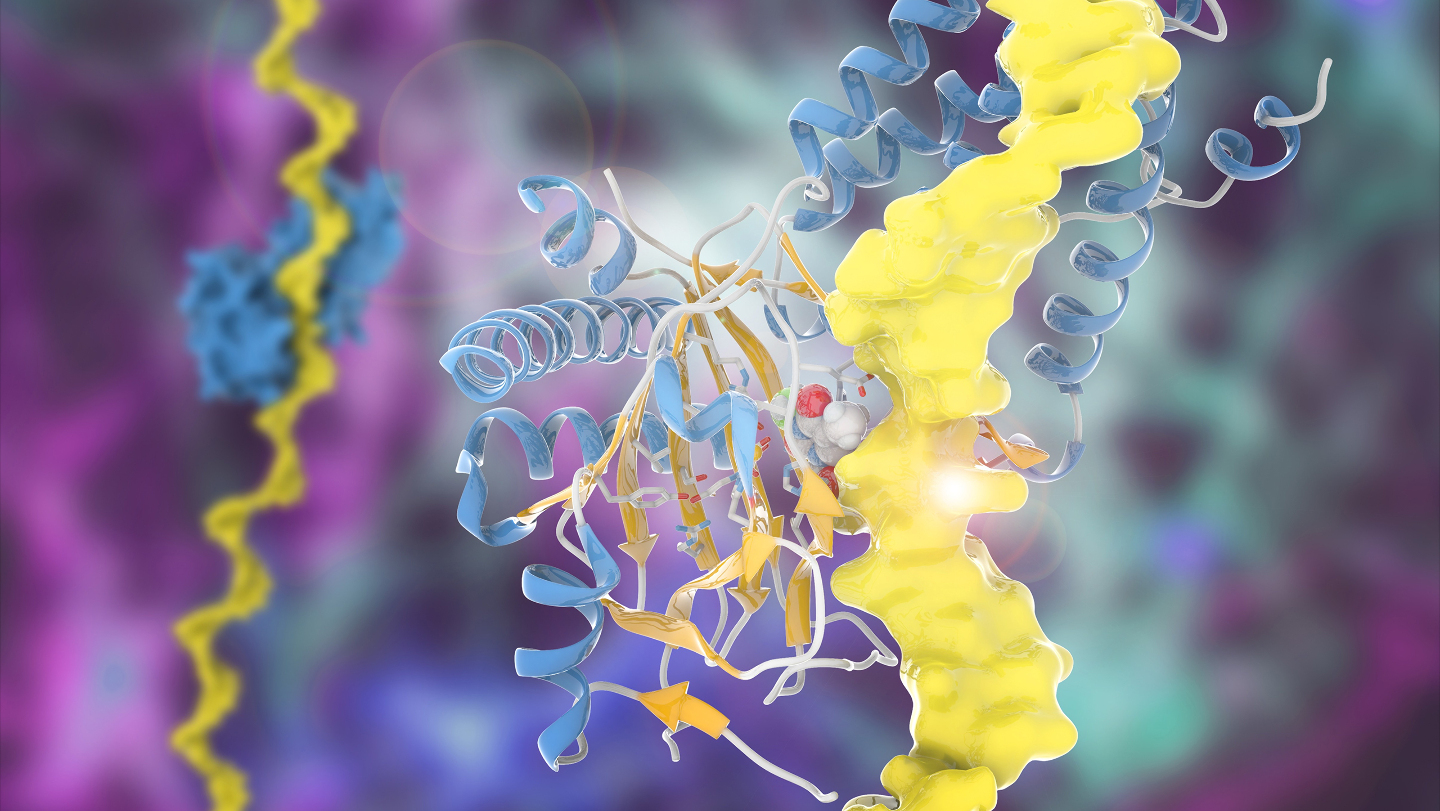 фермет, бактерия, нефть