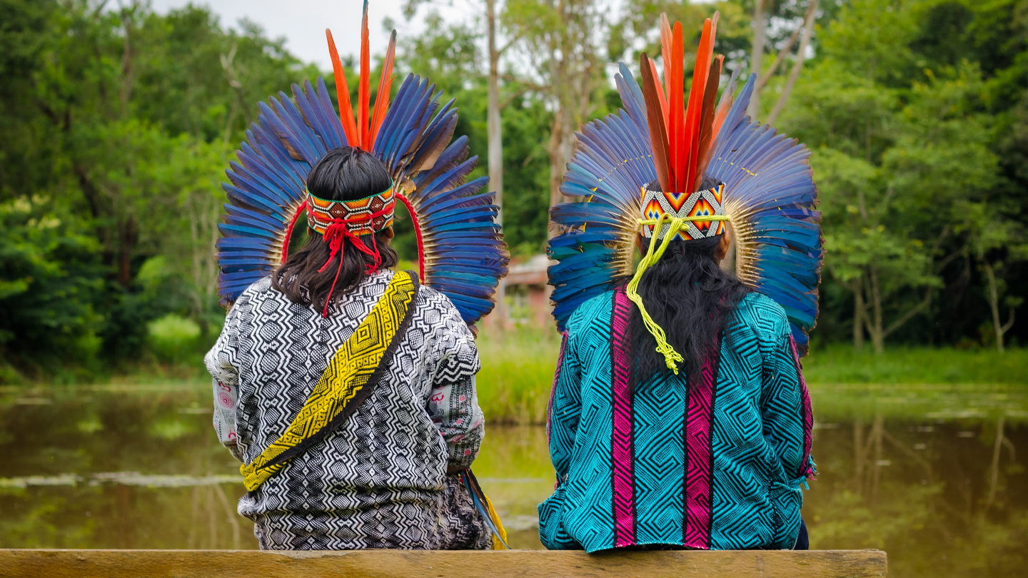 коренные народы бразилии