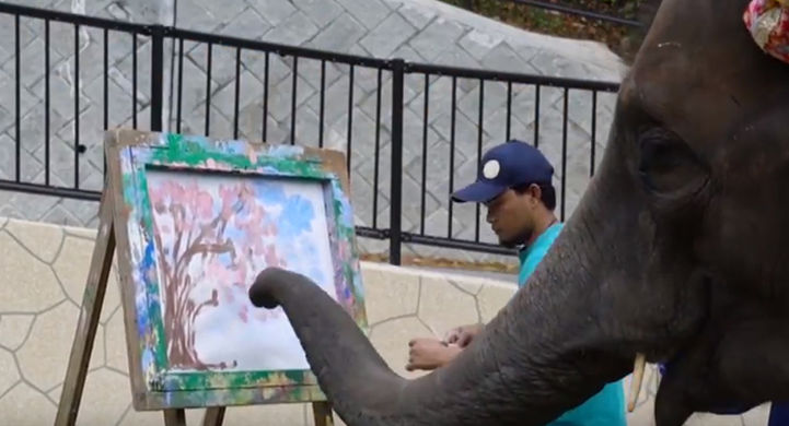 Слон красиво рисует - Телеканал «Моя Планета»