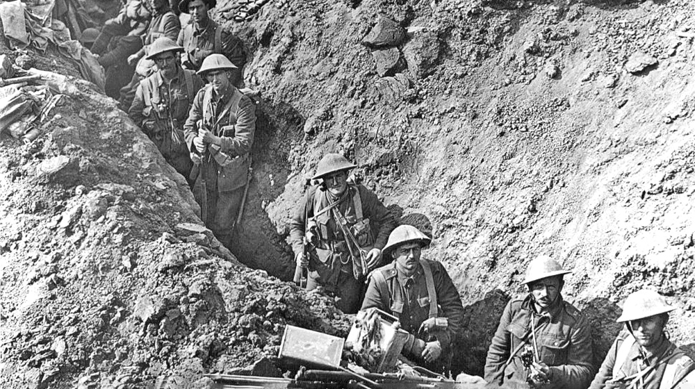 новозеландцы, киви