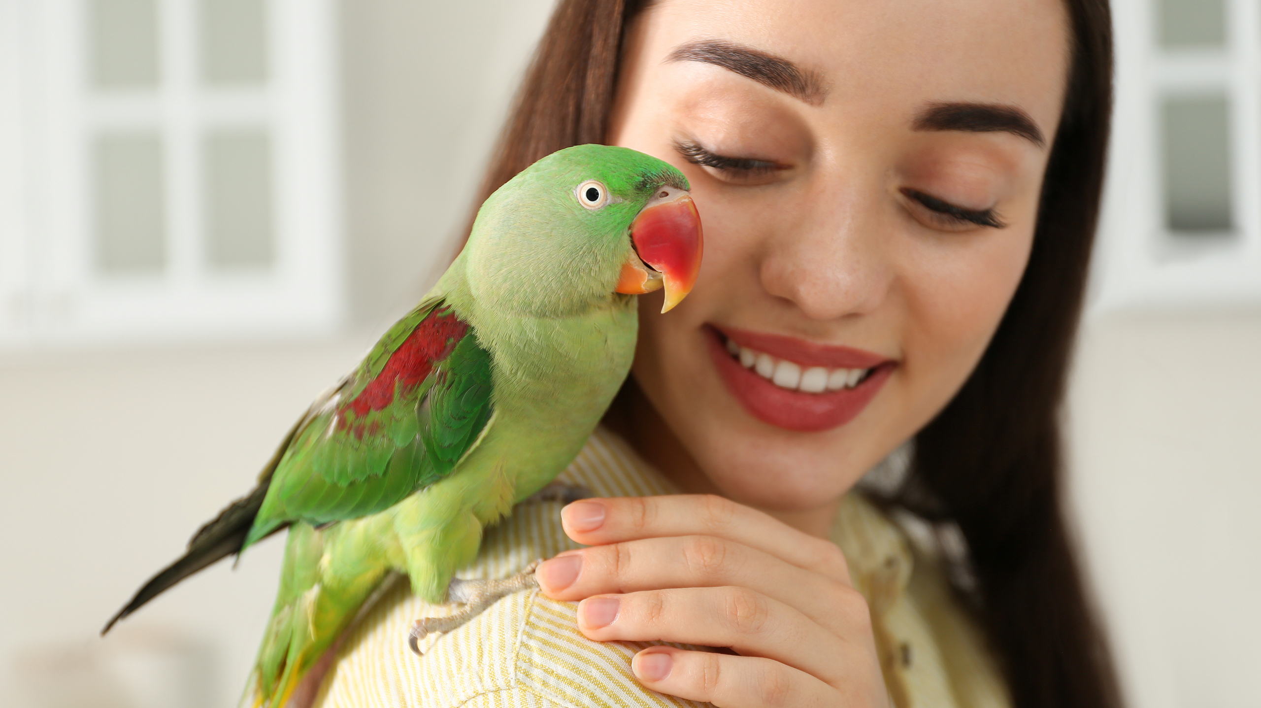 попугаи и человеческая речь