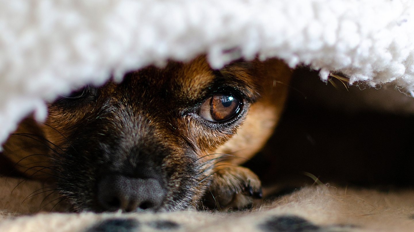 Землетрясения