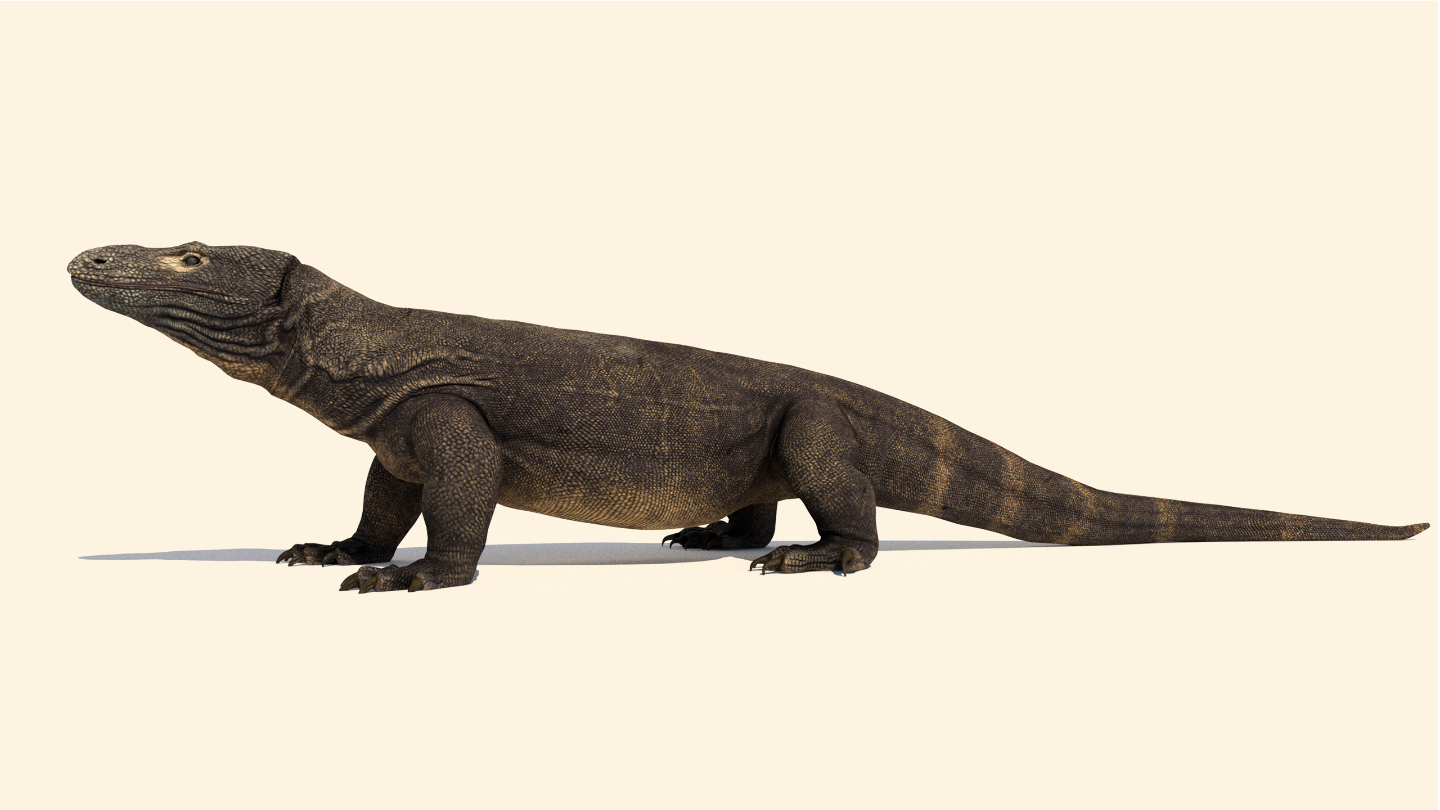 гиганты австралии