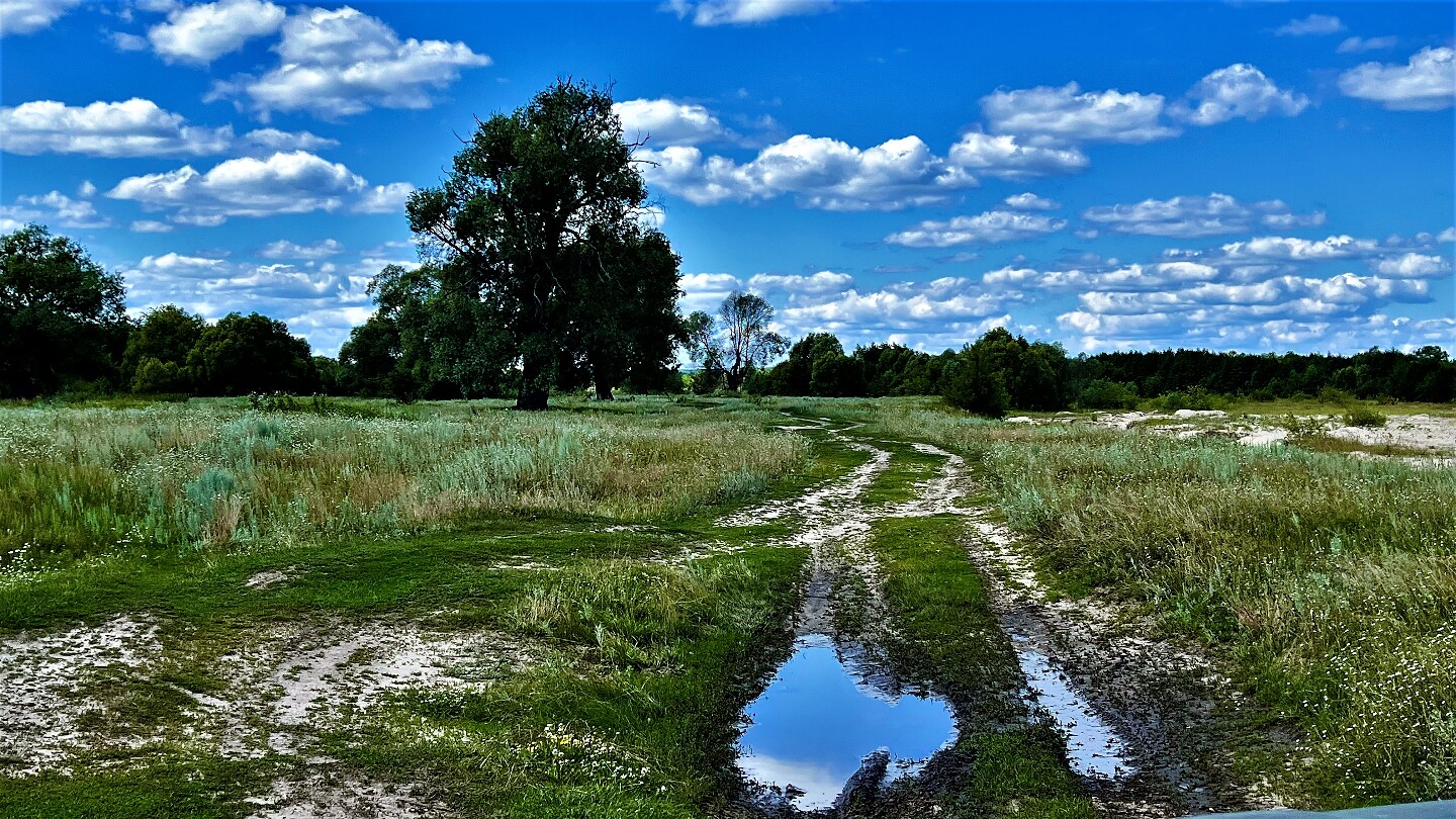 Пензенская обл р п