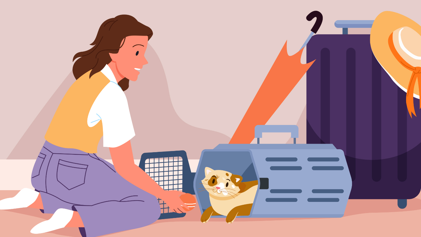 после прилета