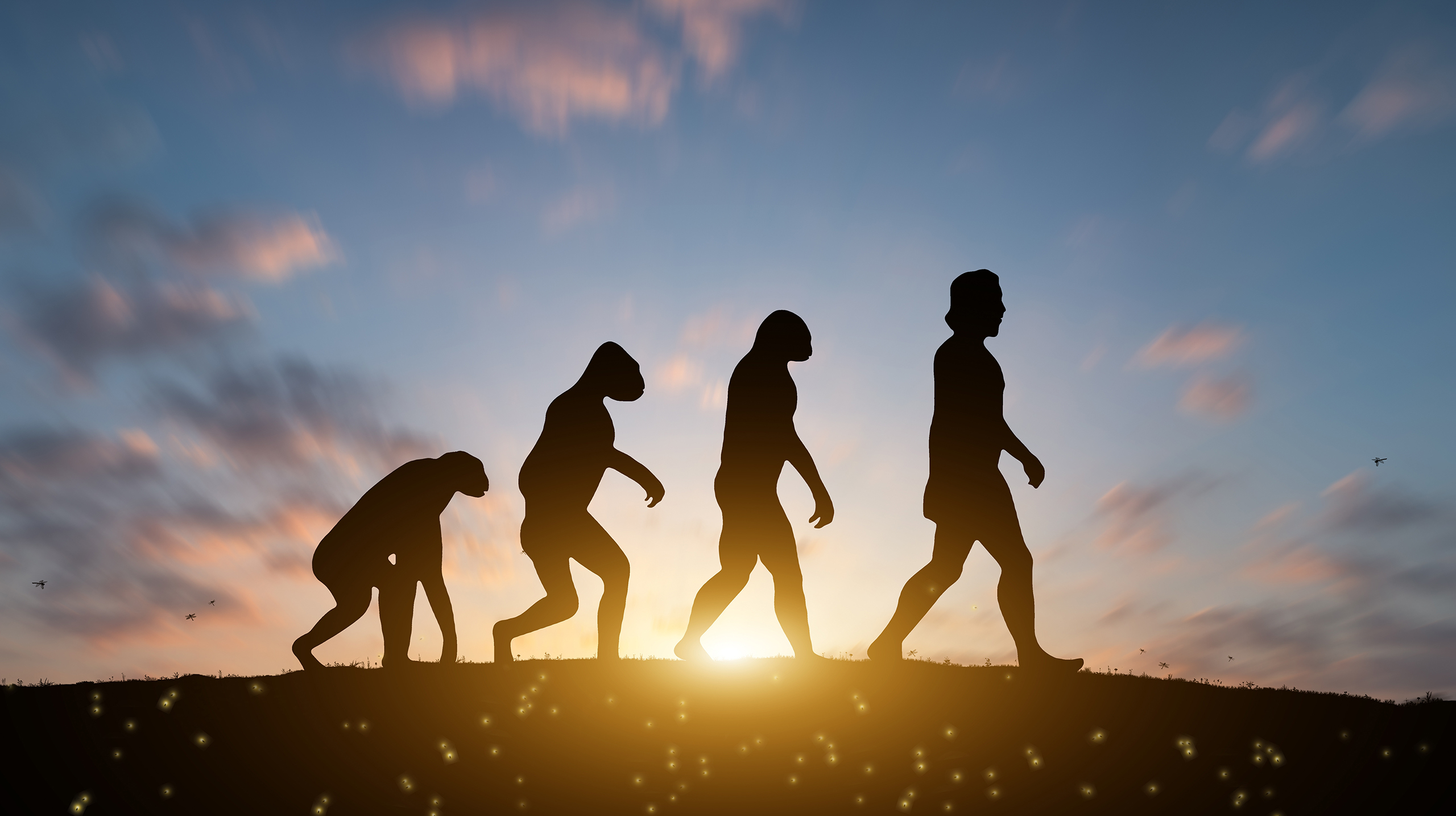 человек, язык