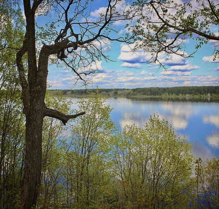 Юрино пляж Волго Ветлуга