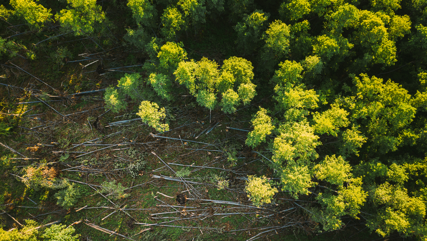 изменения ландшафта