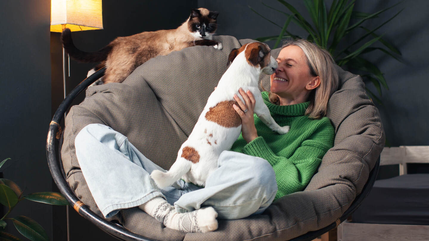 Кошатники, собачники