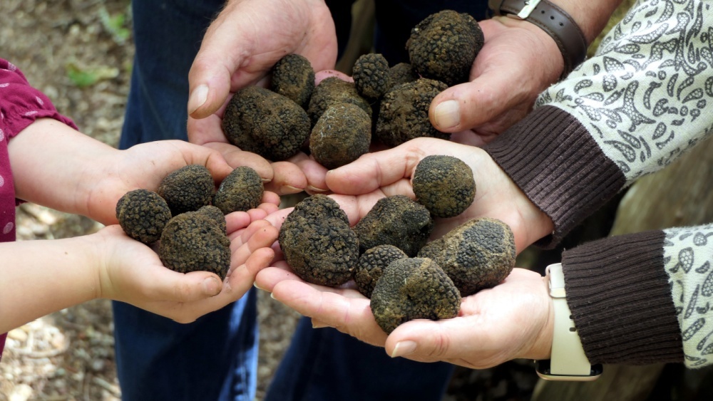 черные трюфели