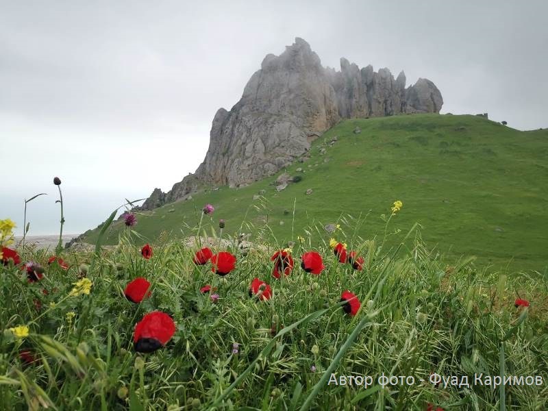 Гора бешбармак