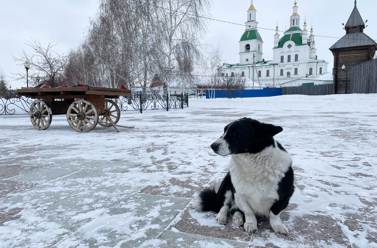 Что посмотреть в Тюменской области - Моя Планета