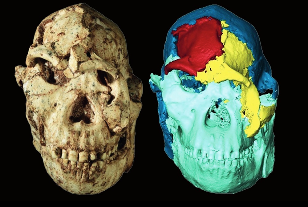 реконструкция