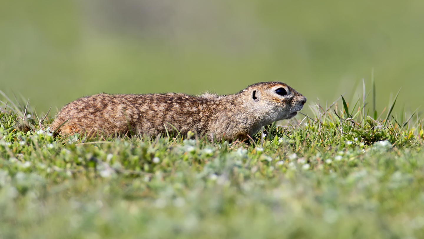 интересные факты