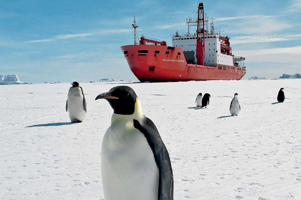 Christmas in Antarctica