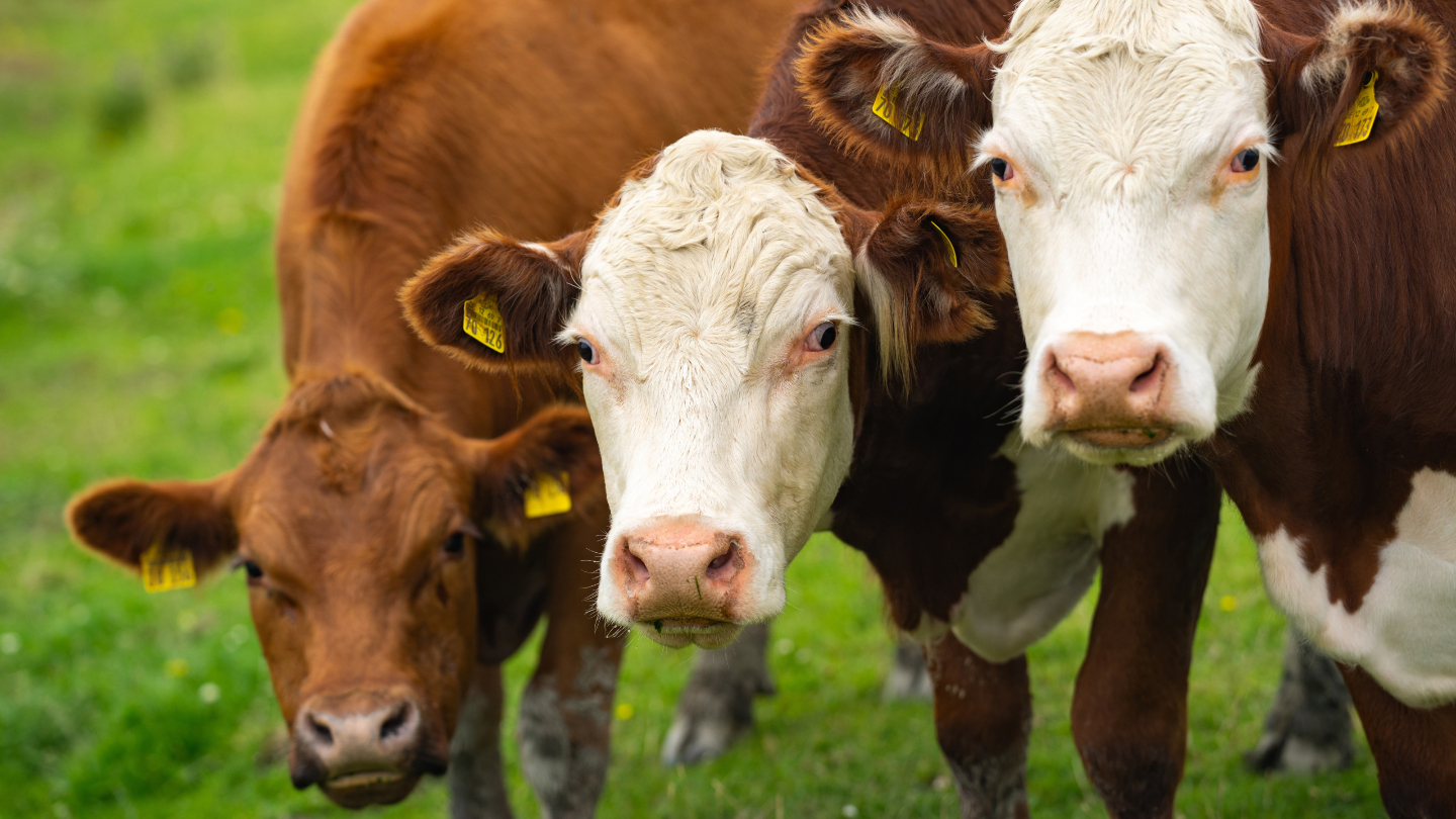 Землетрясения