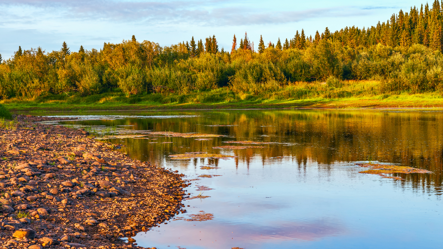 Река Печора