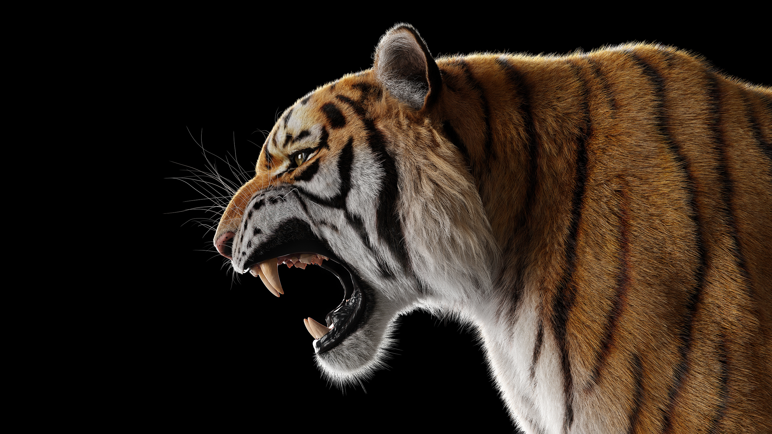 каспийский тигр