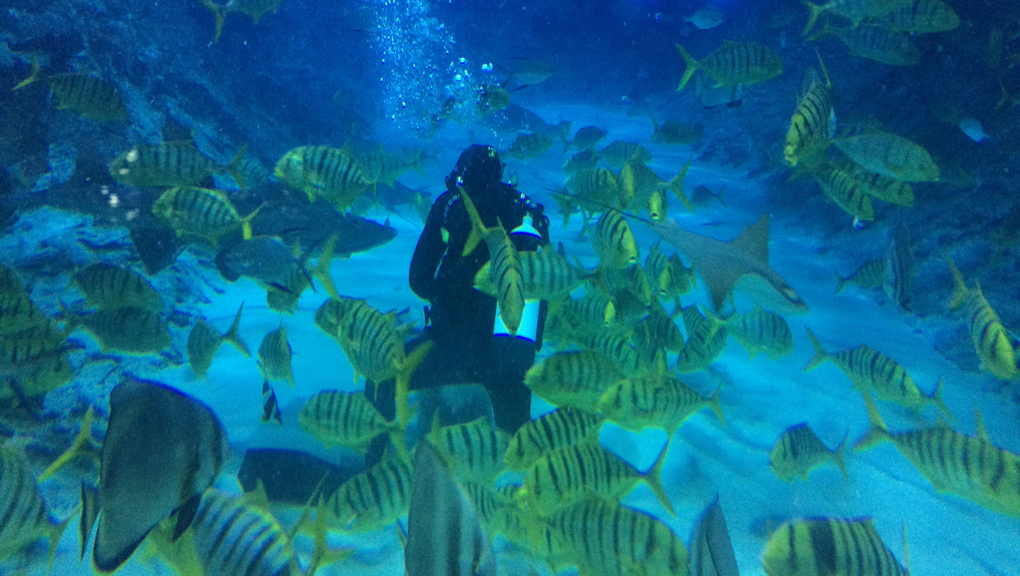 аквариум Когалым