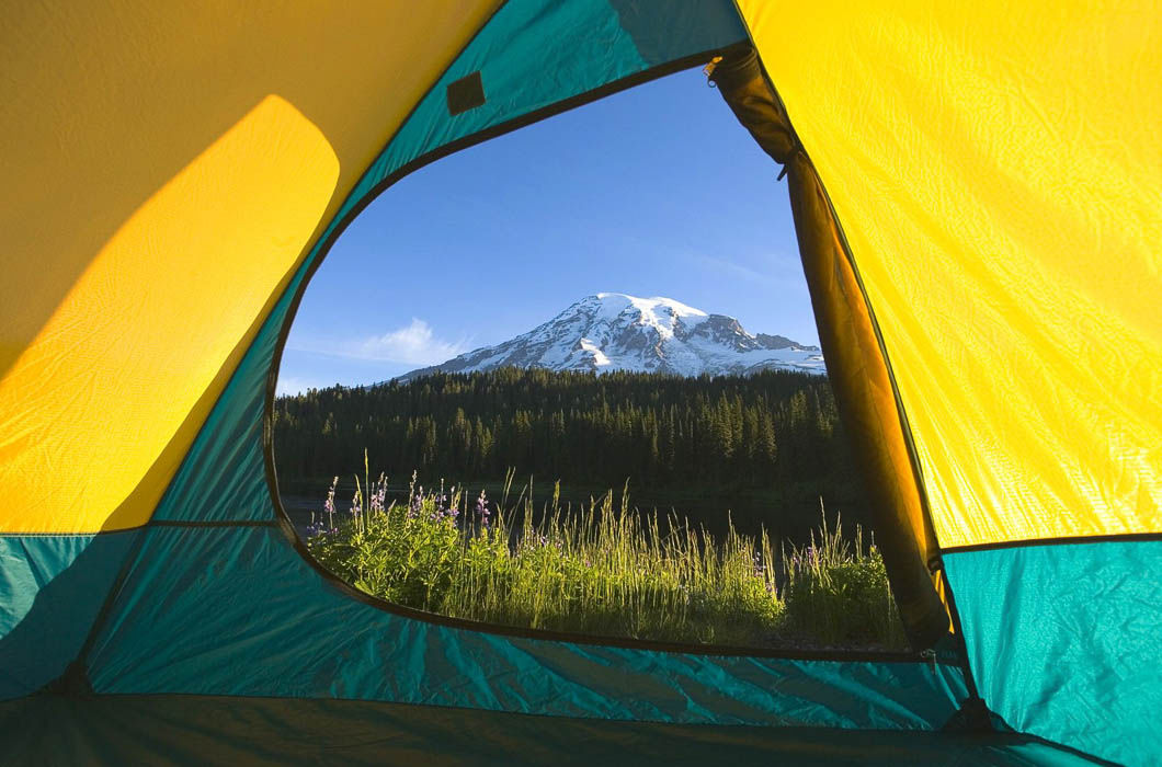 �������� �������� ��� �� ������� ���� ���� ������ ���������