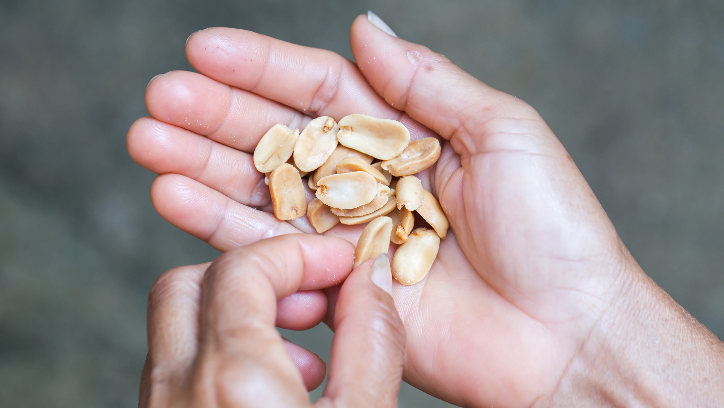 арахис, сухой паек