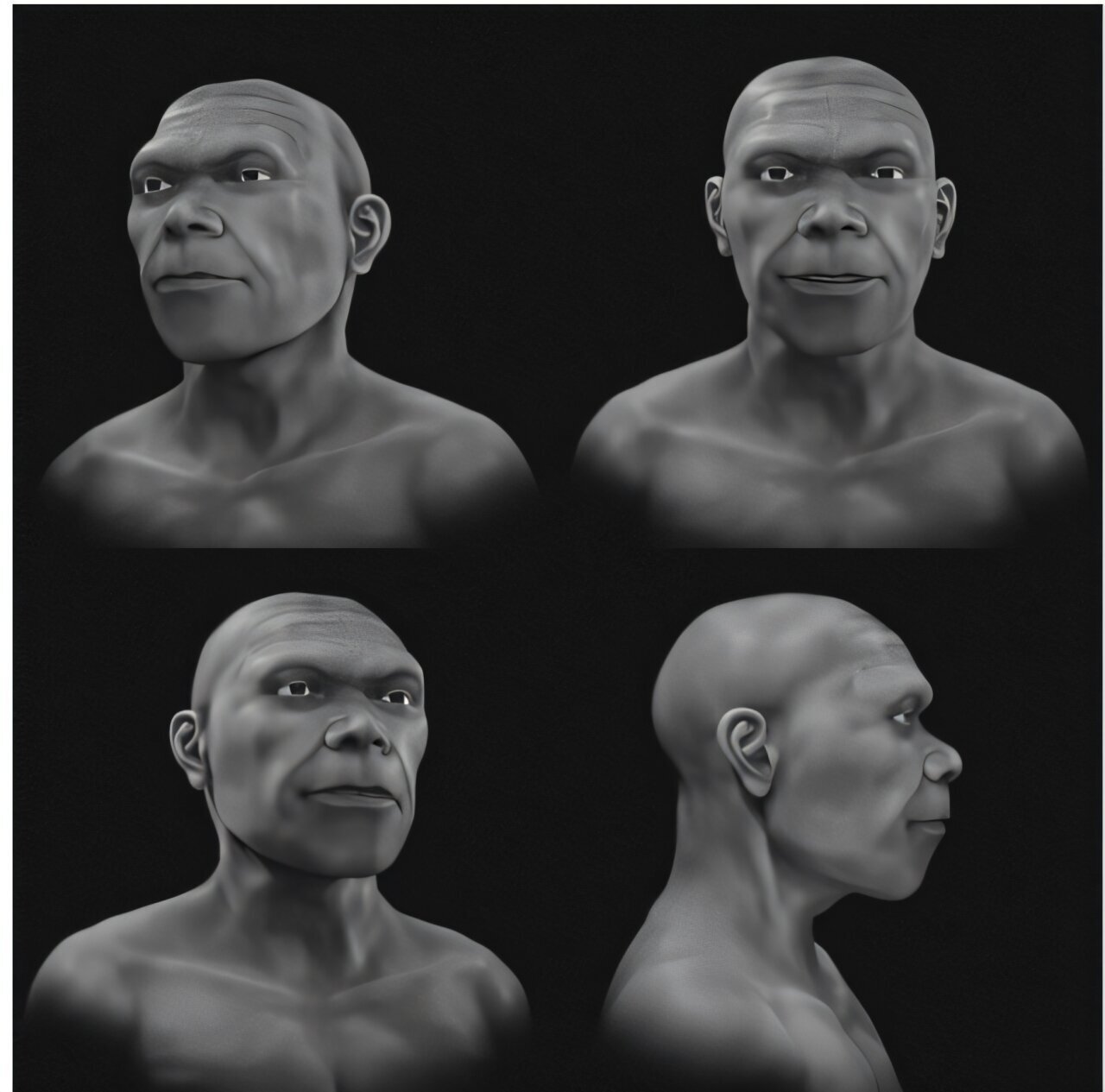 Homo sapiens