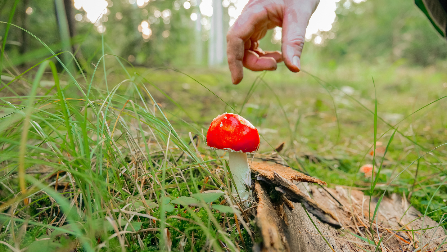опасность для человека