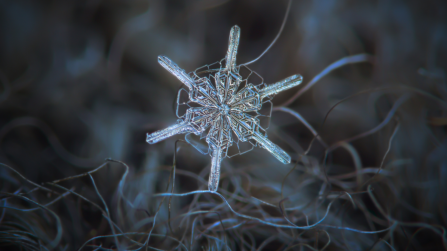Количество возможных путей и вариаций роста, определяемых микроскопическими колебаниями температуры, влажности и траектории падения, астрономически велико