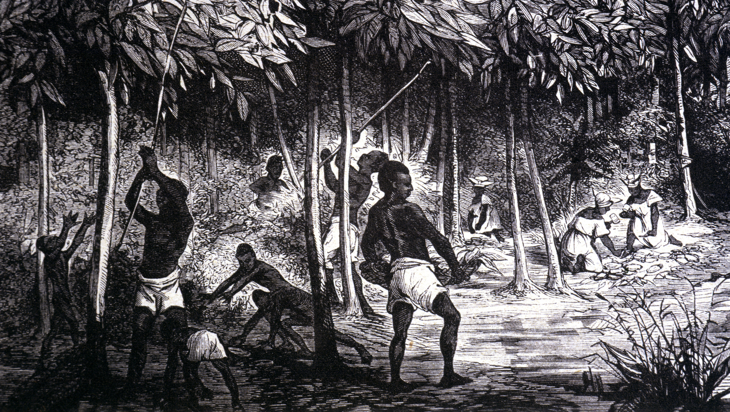 с чего все началось