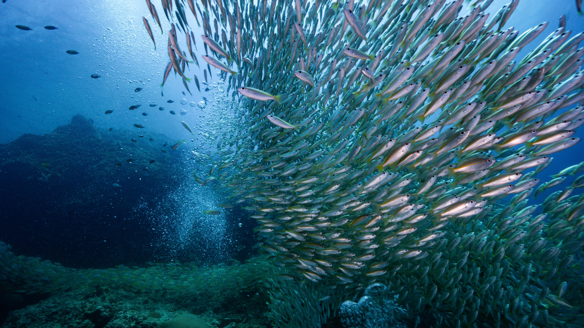 Азовское море
