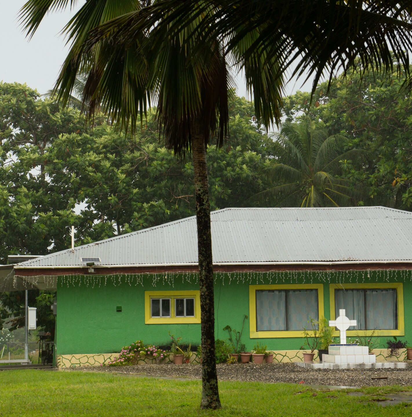 Earth Island Institute the Borneo Project