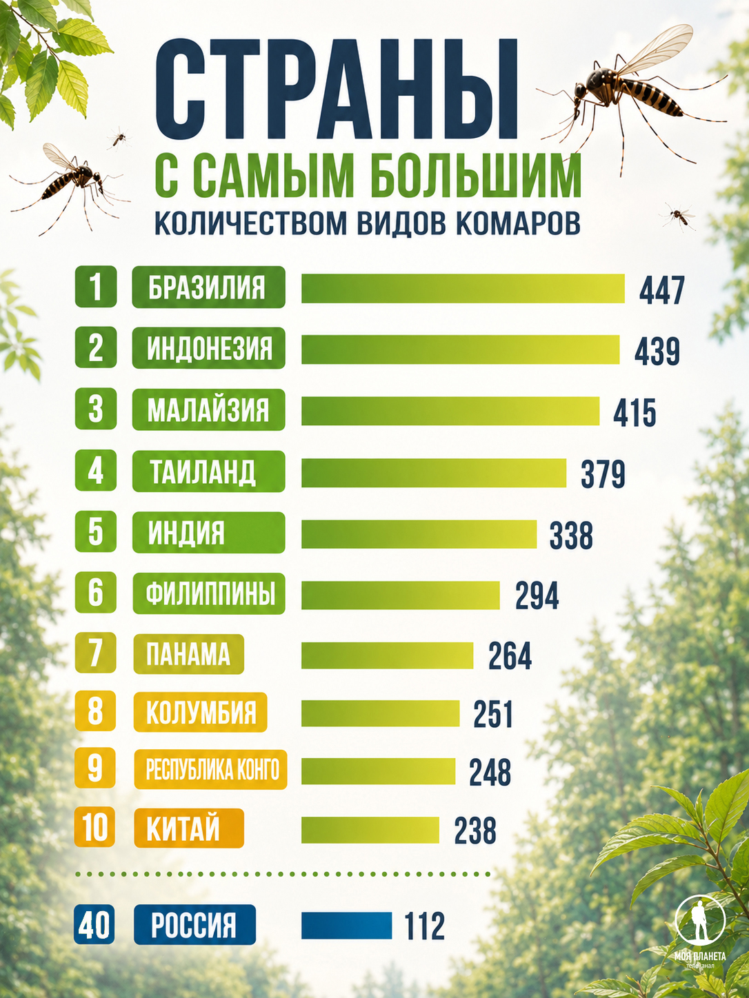 комары, инфографика
