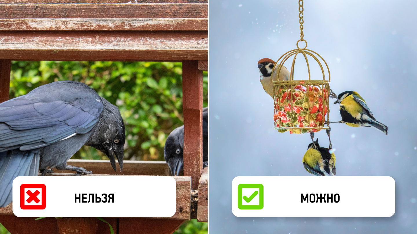 Конкуренция