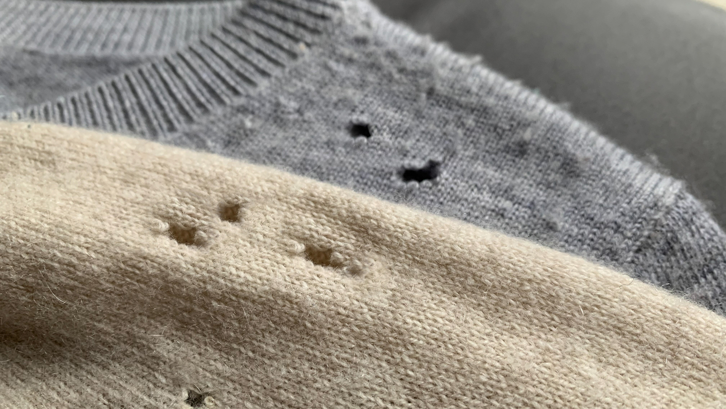 как избавиться от моли