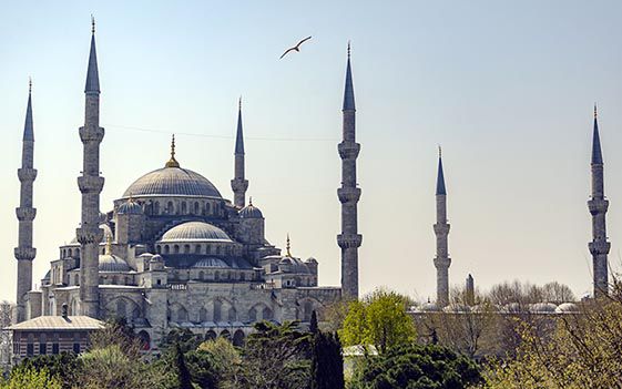 Прогулка по Стамбулу. Мечеть Sultanahmet Camii (Blue Mosque)